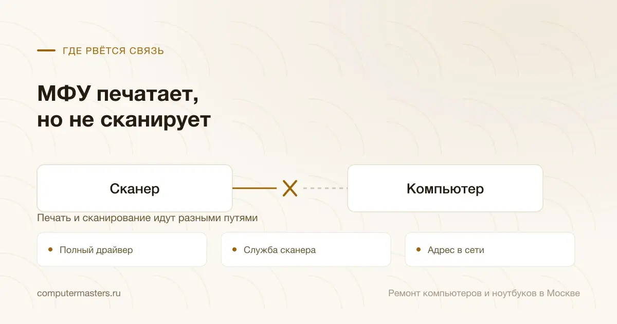 Схема связи «Сканер — Компьютер» и три места, где она рвётся чаще всего: полный драйвер, служба сканера, адрес в сети